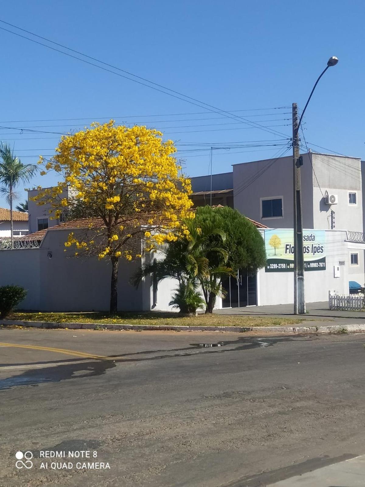Pousada Flor Dos Ipês Trindade  Exterior foto