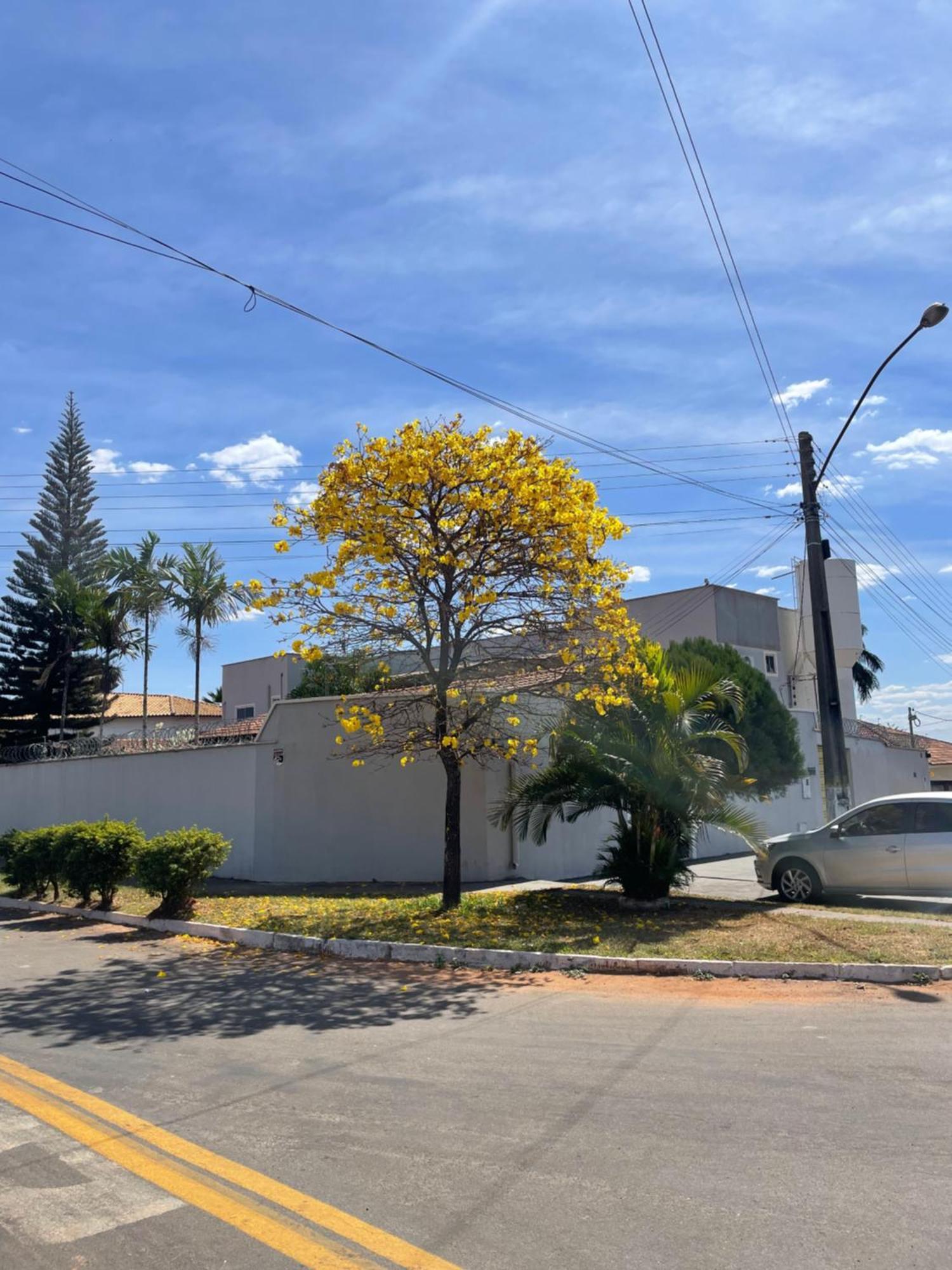 Pousada Flor Dos Ipês Trindade  Exterior foto